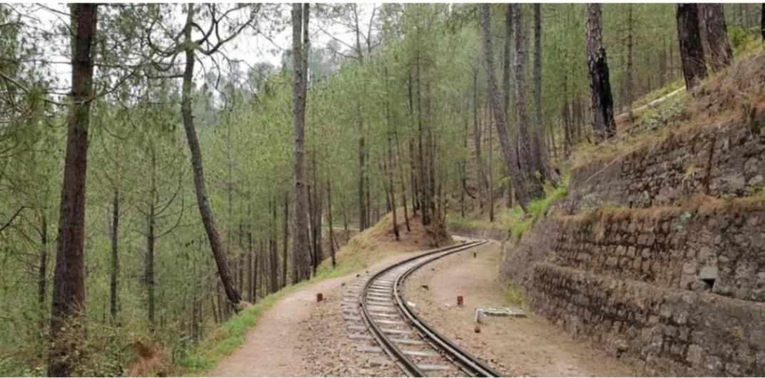 The Heritage Home Kasauli I Pine View Serviced Villa I Best Seller I Vacations I Family Events I Sky Bonfire I Kasauli By Exotic Stays 外观 照片