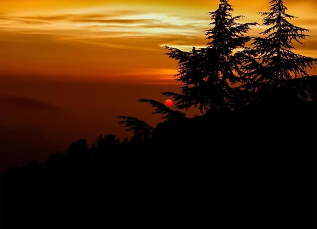The Heritage Home Kasauli I Pine View Serviced Villa I Best Seller I Vacations I Family Events I Sky Bonfire I Kasauli By Exotic Stays 外观 照片